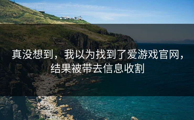 真没想到，我以为找到了爱游戏官网，结果被带去信息收割